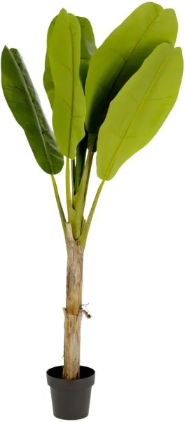Banano, konstgjord växt, grön/svart, H160x90x90 cm