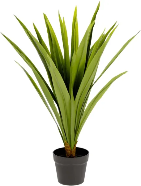 Yucca, konstgjord växt, grön/svart, H80x60x60 cm
